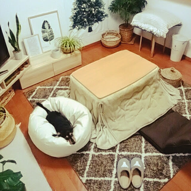 reonさんの実例写真