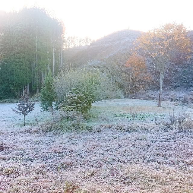 strawberry_jellyさんの部屋