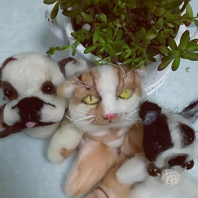 panchobiさんの実例写真