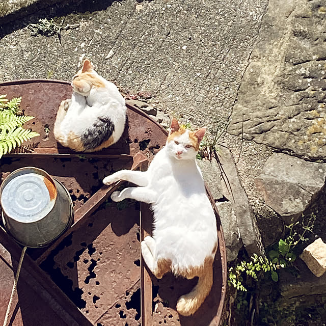 reeさんの実例写真