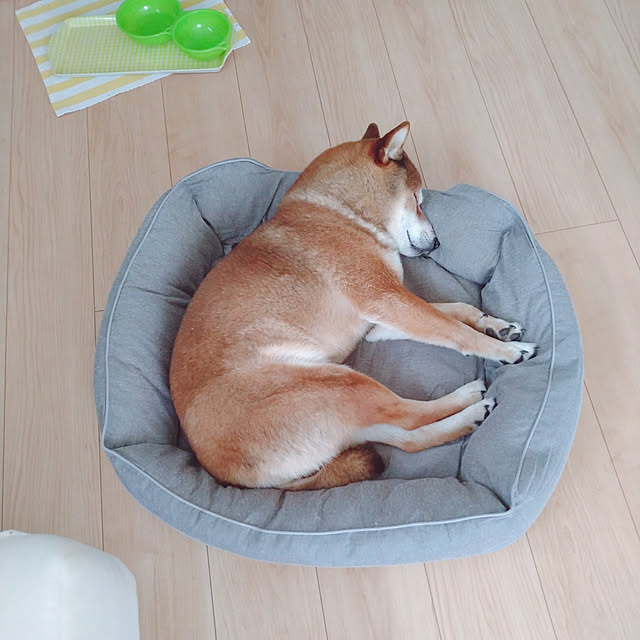 Soraさんの実例写真