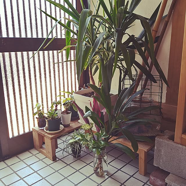 kiyohima229さんの実例写真