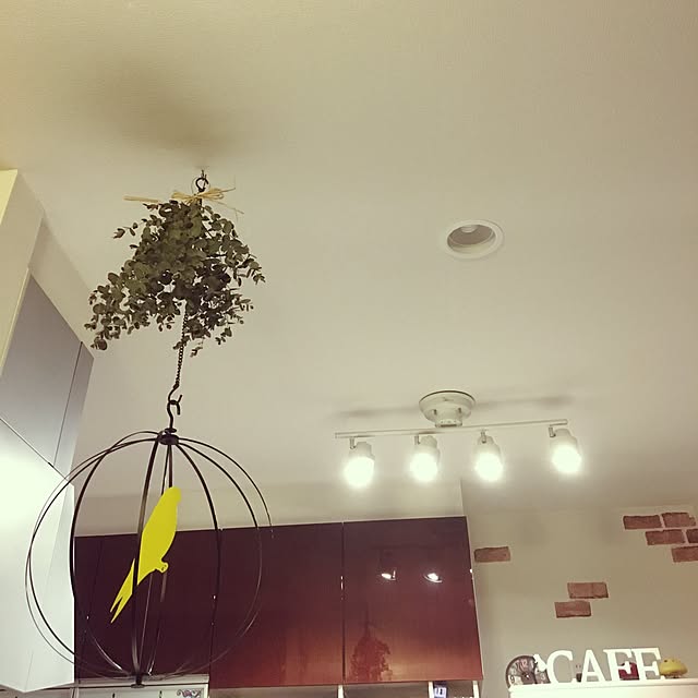 キッチン/IKEA/ドライフラワー/アンティークのインテリア実例 - 2016-06-23 21:54:00