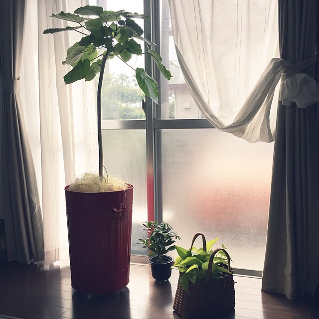 aninさんの実例写真