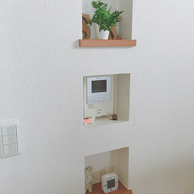 Shiyoさんの実例写真