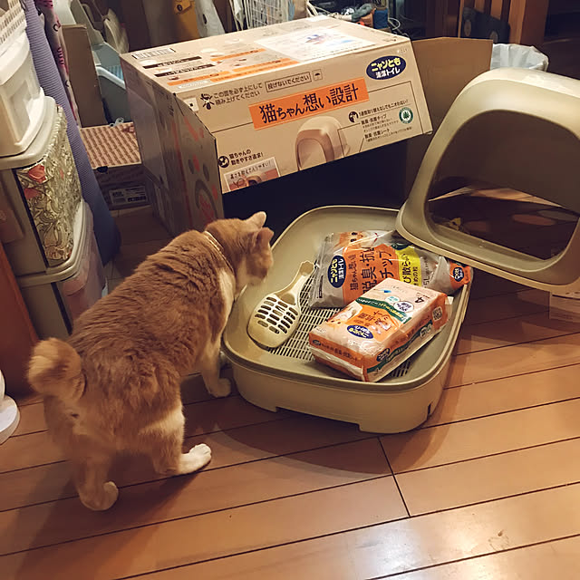 kou-kitiさんの部屋