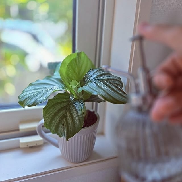 mutyukingさんの部屋