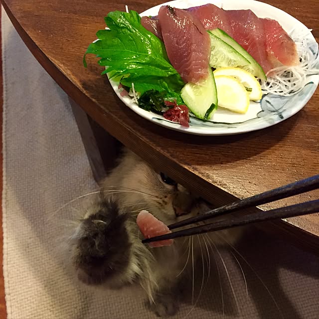 butachanさんの実例写真