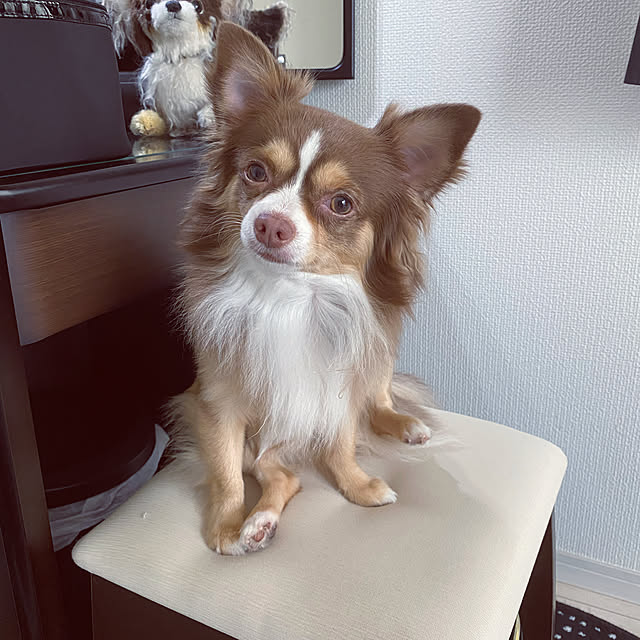 chocoさんの実例写真