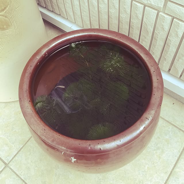 hanakoさんの実例写真