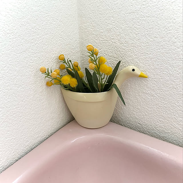 watakoさんの実例写真