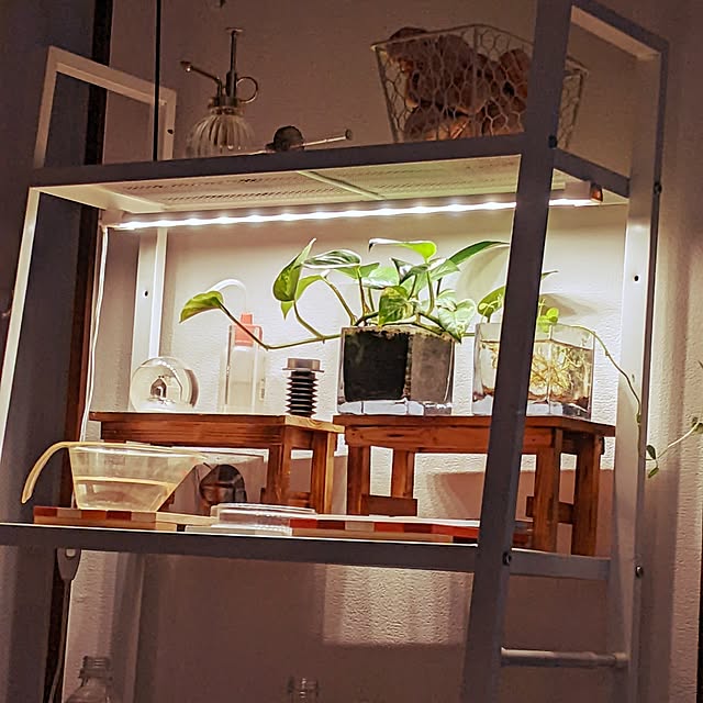 mi-saさんの部屋