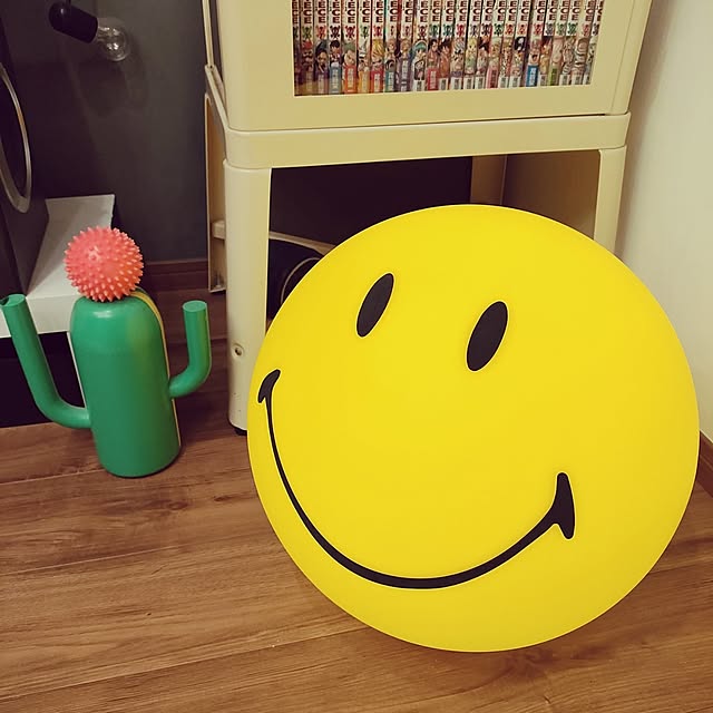 R_HAUSさんの実例写真