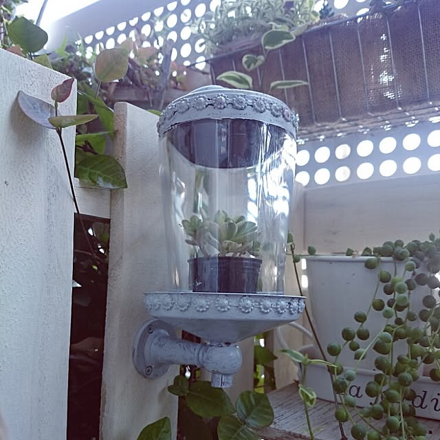 okameさんの実例写真