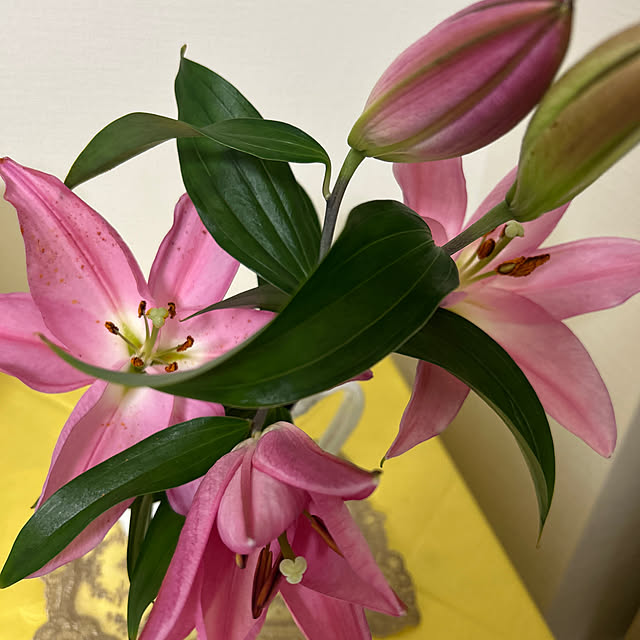 m.retoroさんの実例写真