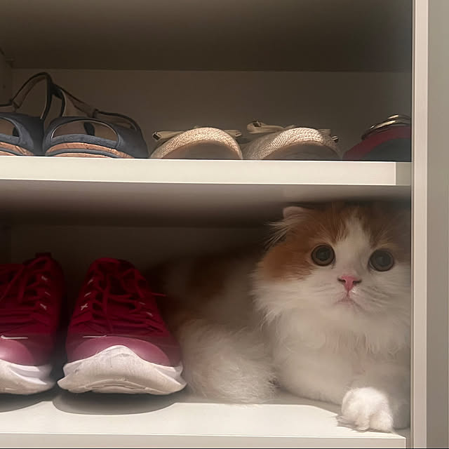 sojiさんの部屋