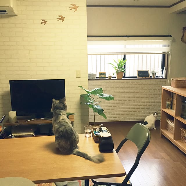 yuzucha3さんの実例写真