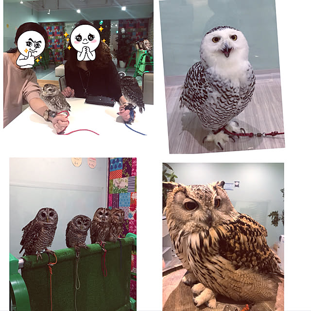 emmyyさんの実例写真