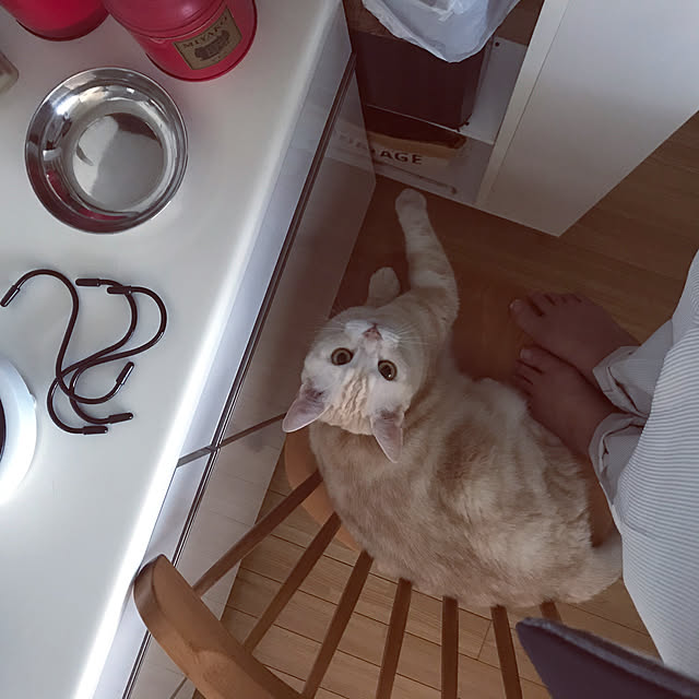 hiyupan88さんの実例写真