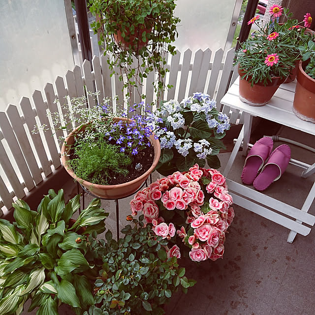 hopkeiさんの実例写真