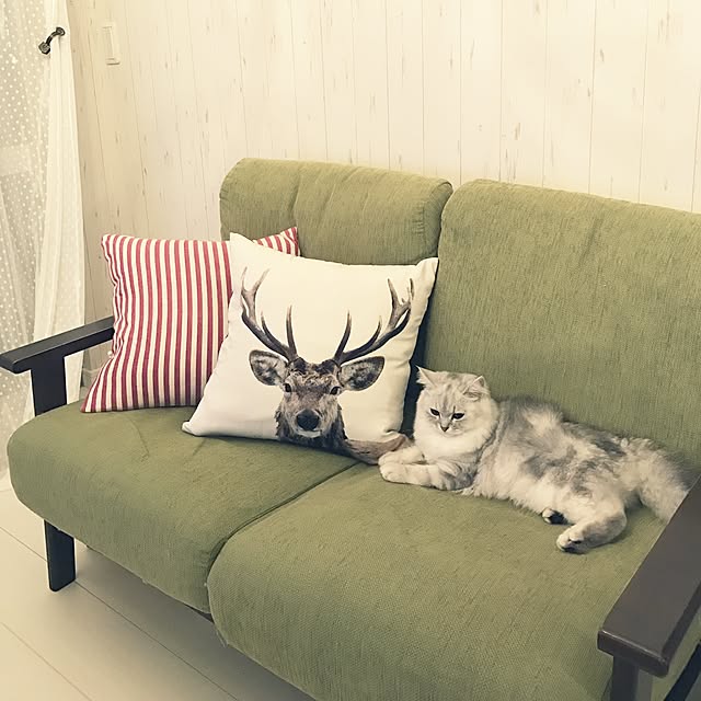 ya---iさんの実例写真