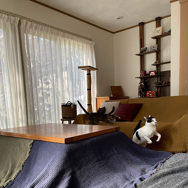 nobikoさんの実例写真