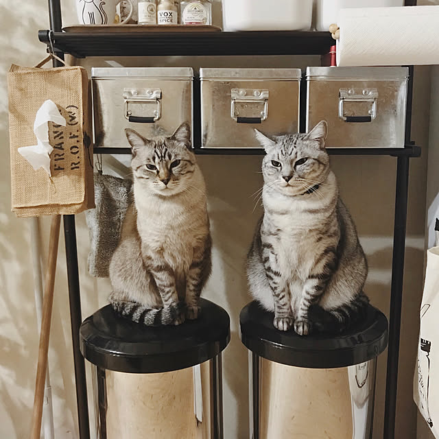 ineko_kさんの実例写真