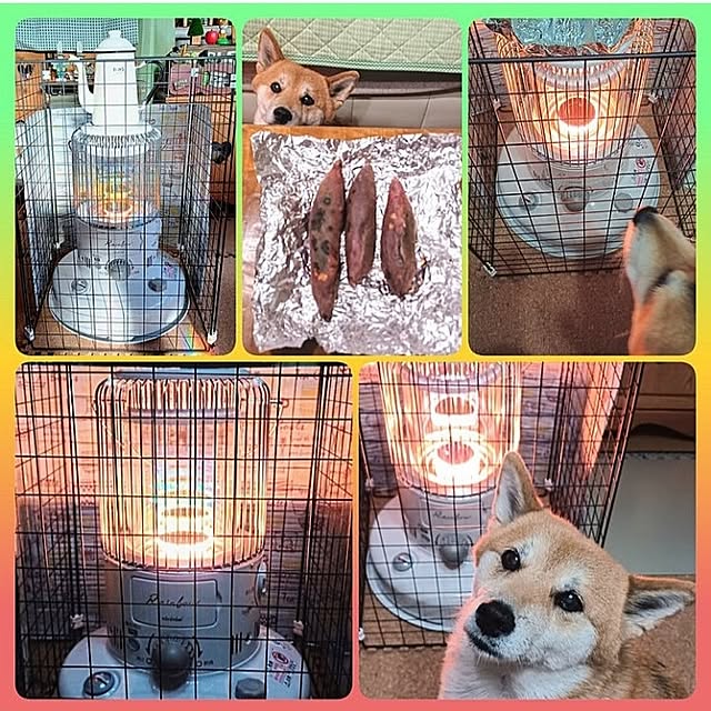 nanaさんの部屋