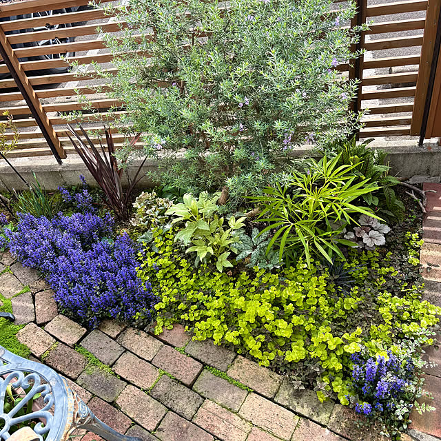 kyoko1124koさんの実例写真