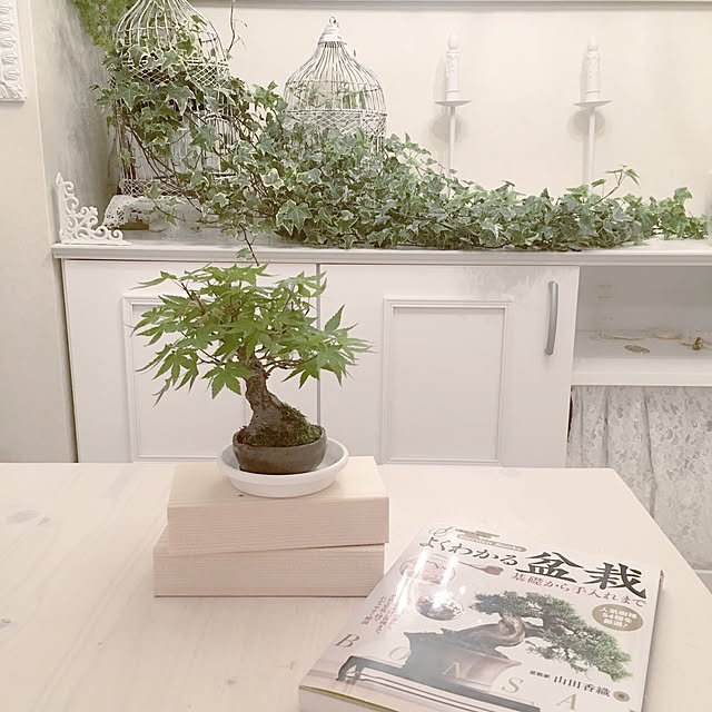 noelさんの実例写真
