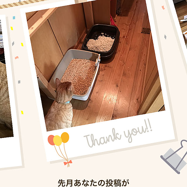 misamisa1113さんの実例写真