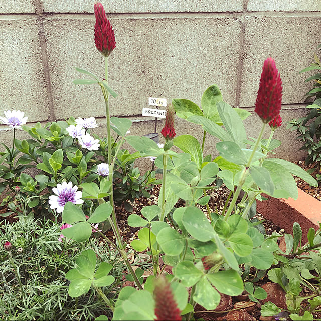 khさんの実例写真