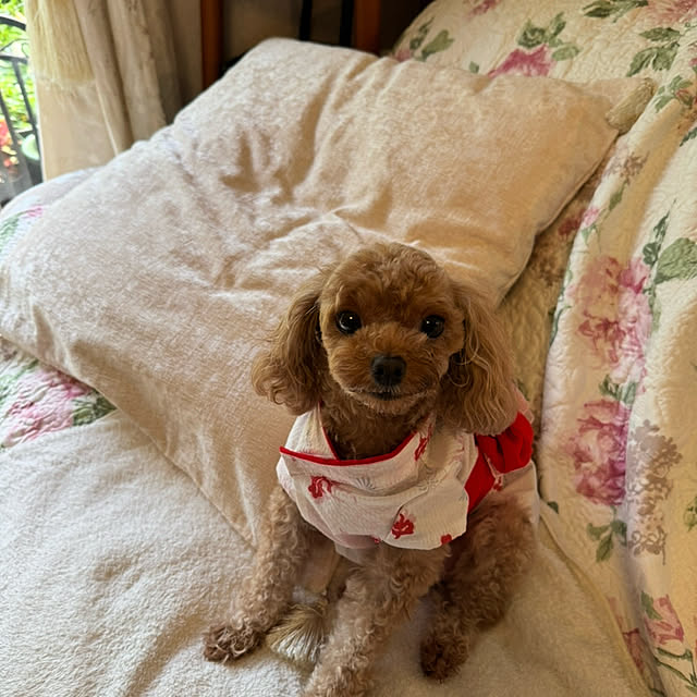 mamizaさんの部屋