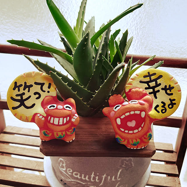 kazukoさんの実例写真