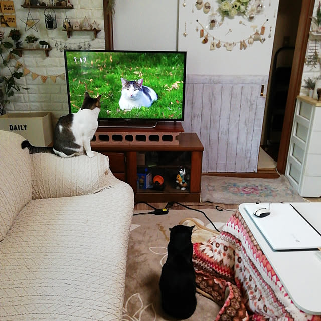 Tomopさんの実例写真