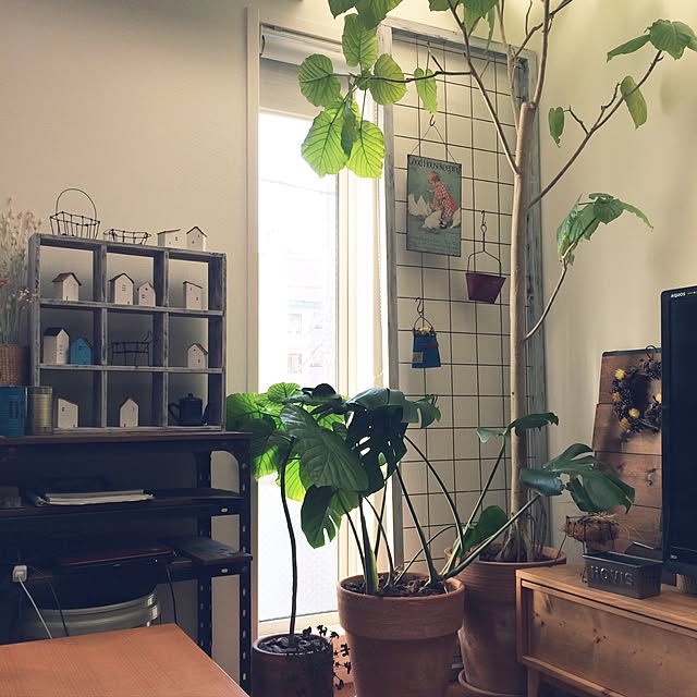 goakihatomo54526さんの実例写真