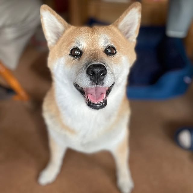 nanaさんの部屋