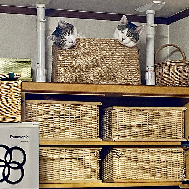 Lufuさんの実例写真