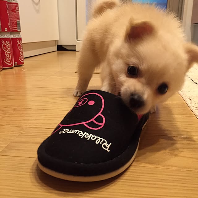takakoさんの実例写真