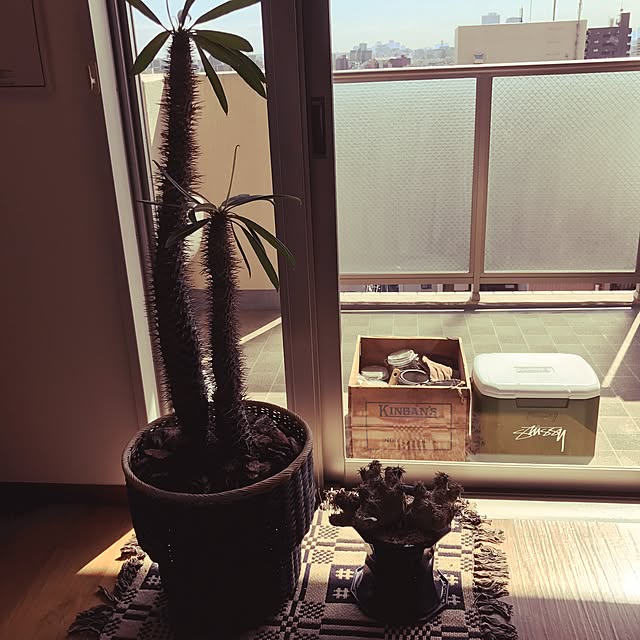 taichiさんの実例写真