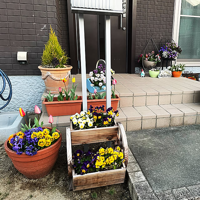 arae.Yさんの実例写真