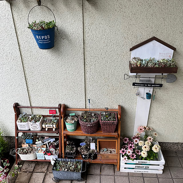 seiko44さんの部屋