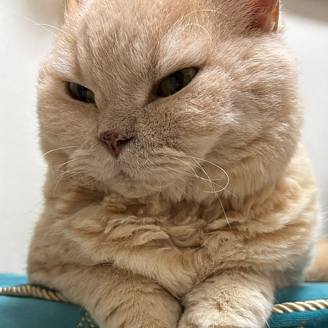 naokoさんの部屋