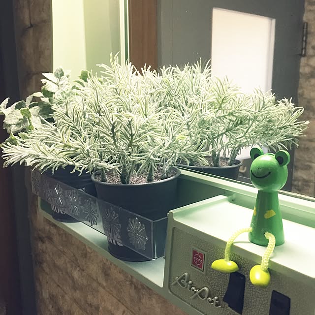maimaiさんの実例写真