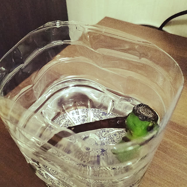yuzuさんの実例写真