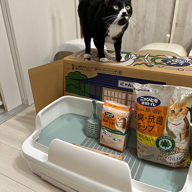 chatnoirさんの部屋
