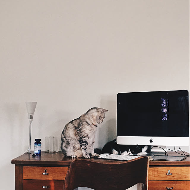 ptyyさんの実例写真