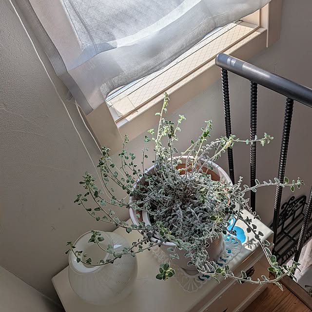 acocoさんの実例写真