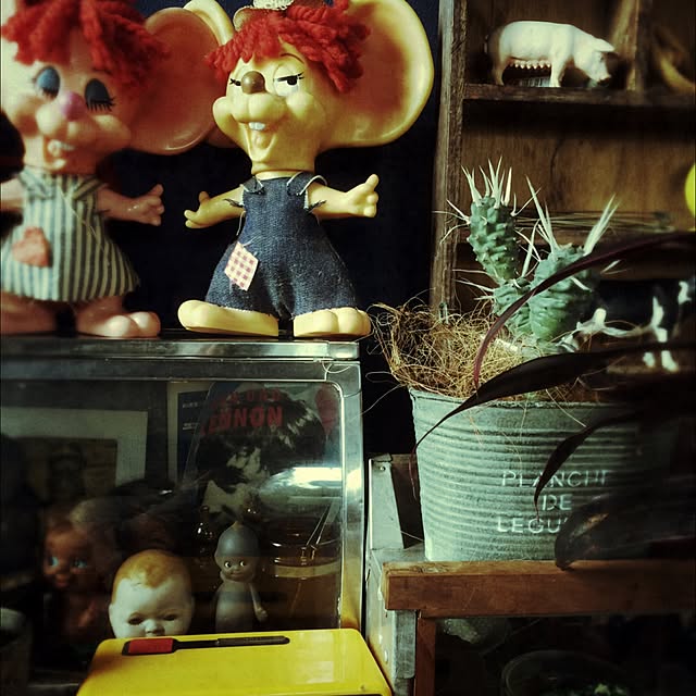 TOYTOYさんの実例写真
