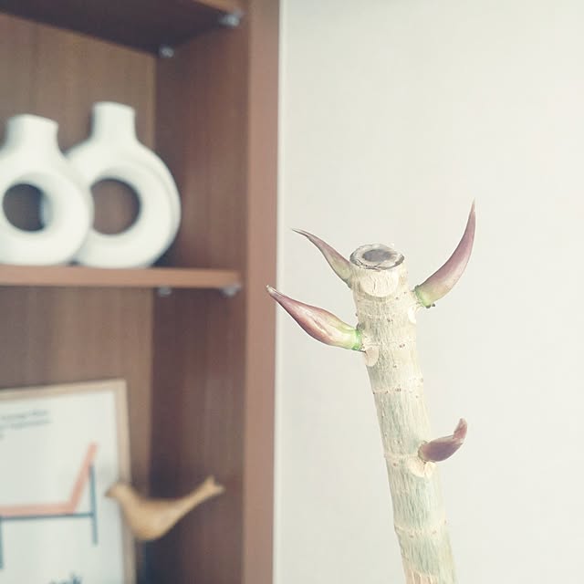 tan5さんの部屋